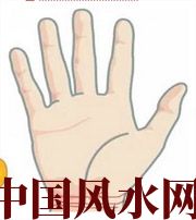 丰满若有此手相，天降横财不一定是梦